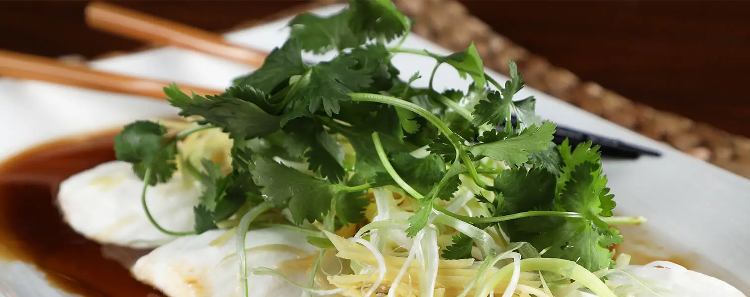 Steamed Halibut